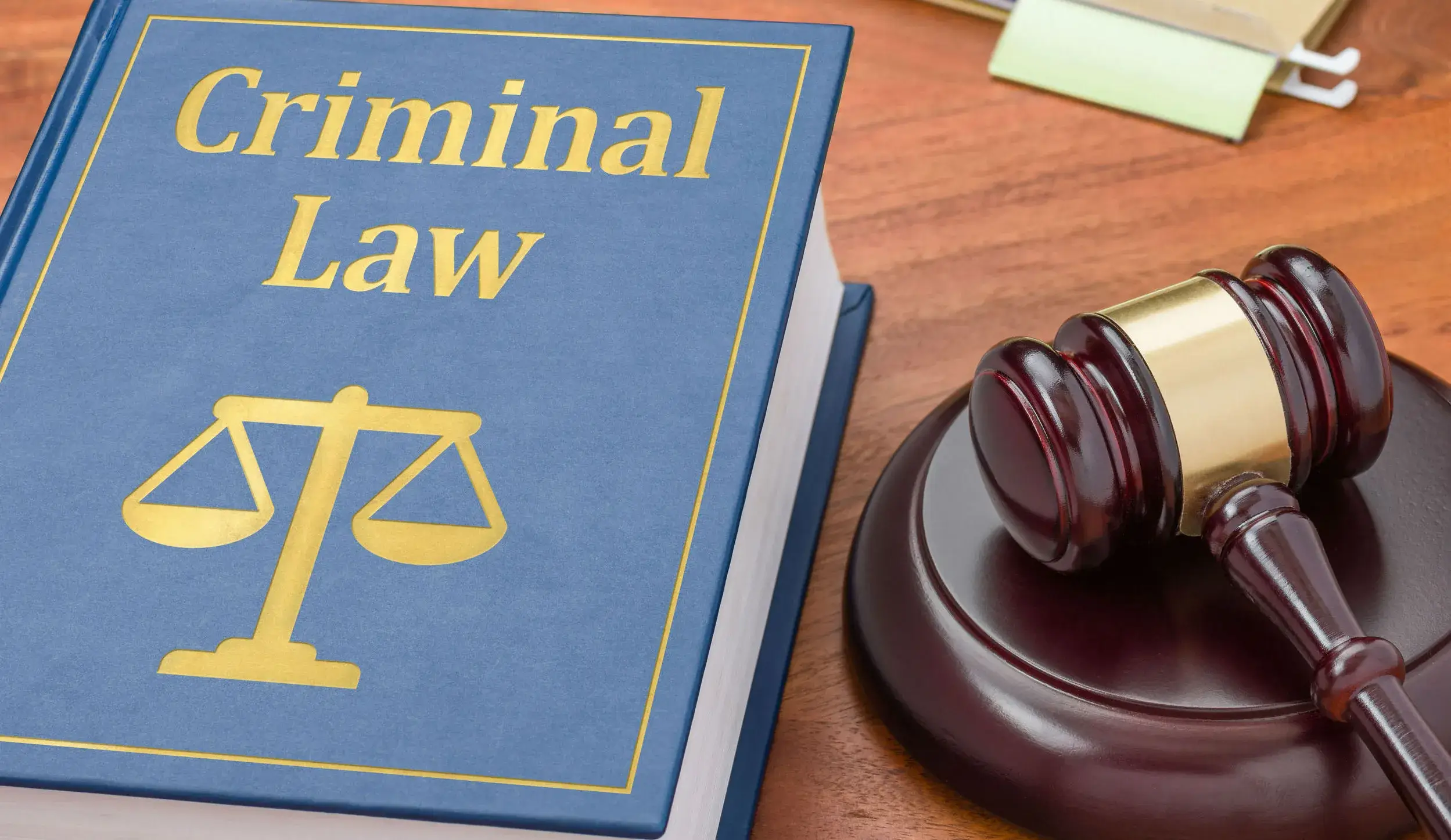 Criminal Litigation